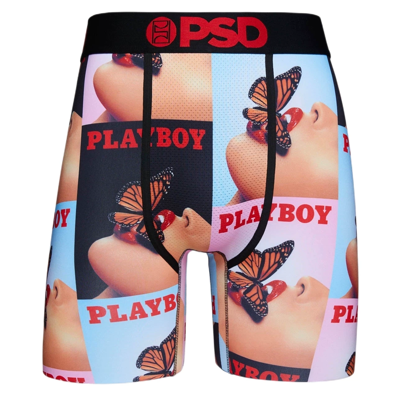 PSD photo 13