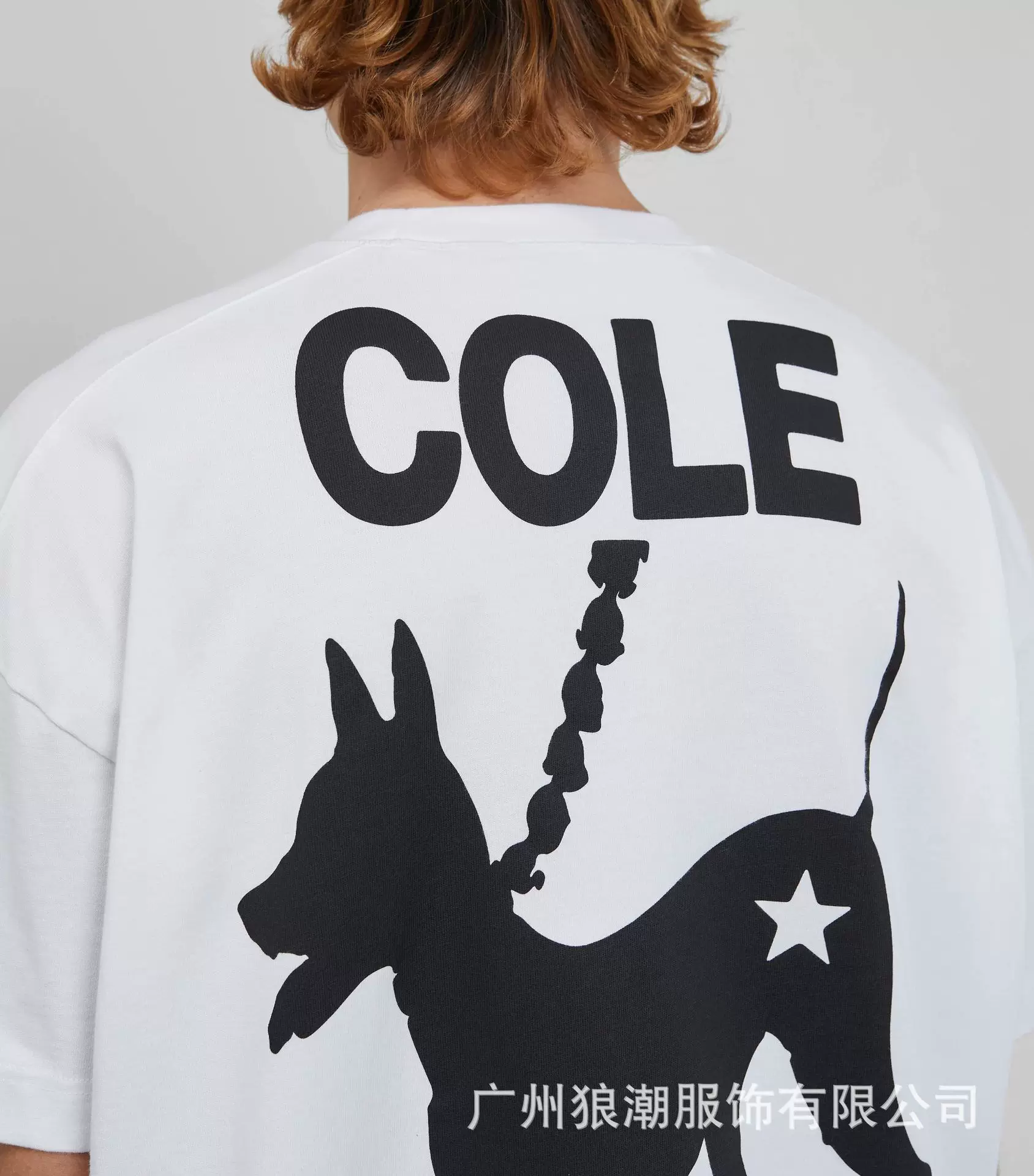 COLE BUXTON CAMISETAS photo 36