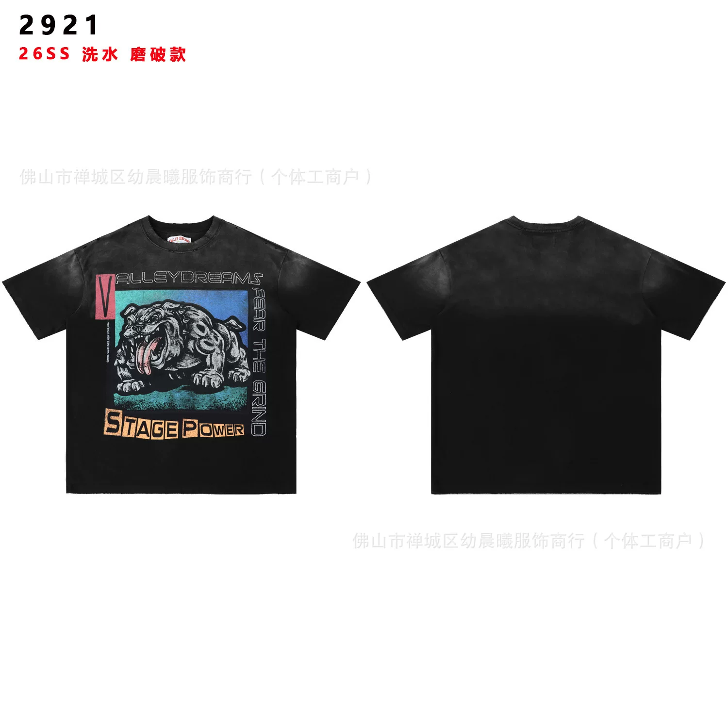 CAMISETA VALLEY DREAMS photo 21