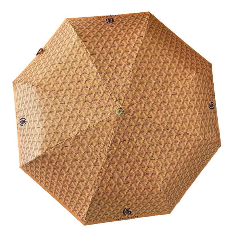 PARAGUAS GOYARD photo 13