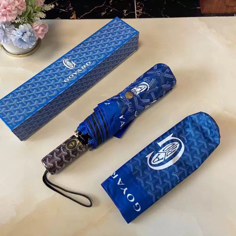 PARAGUAS GOYARD photo 5