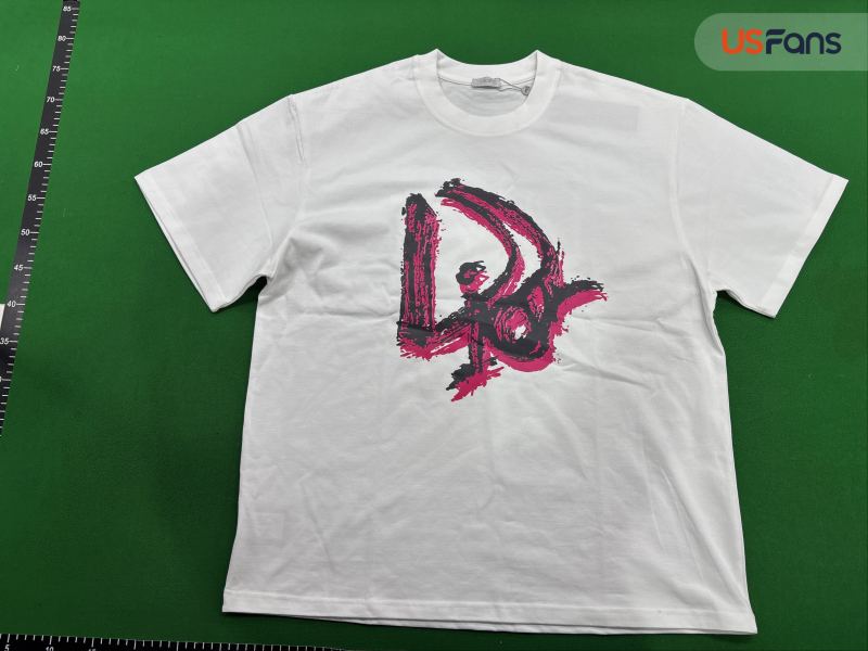 QC Camiseta Dior foto 2