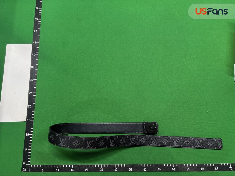 QC Cinturon Lv foto 2