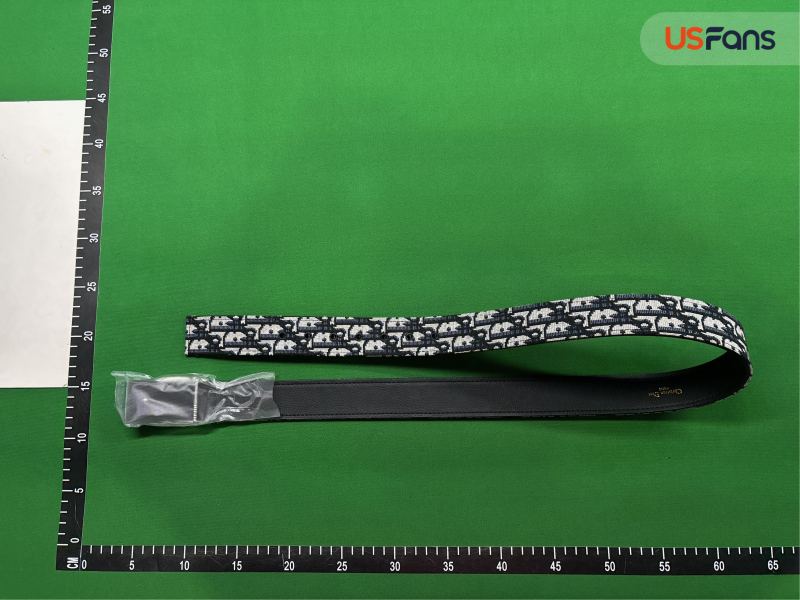 QC Cinturon Dior foto 2