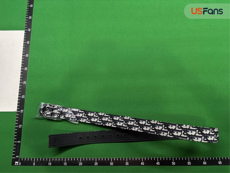 QC Cinturon Dior foto 1