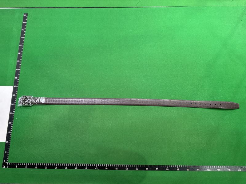 QC Cinturon Loewe foto 1