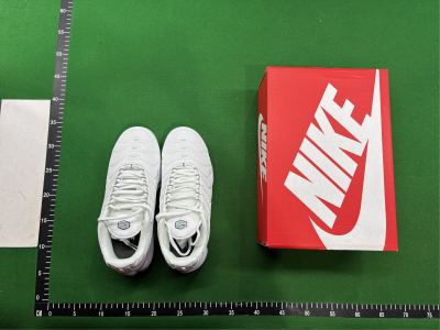 Nike Air Max Plus TN — real QC photos