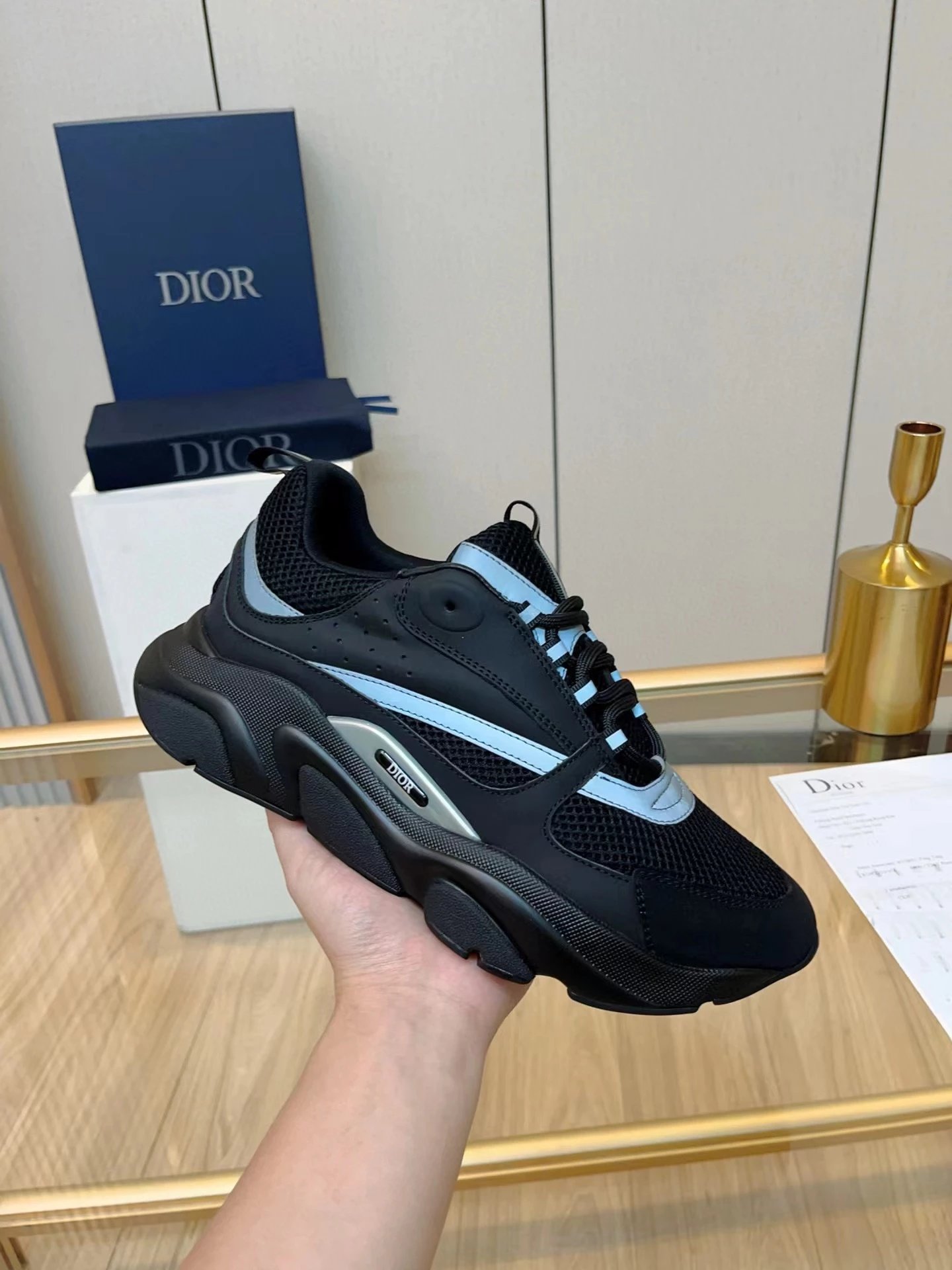Dior B22
