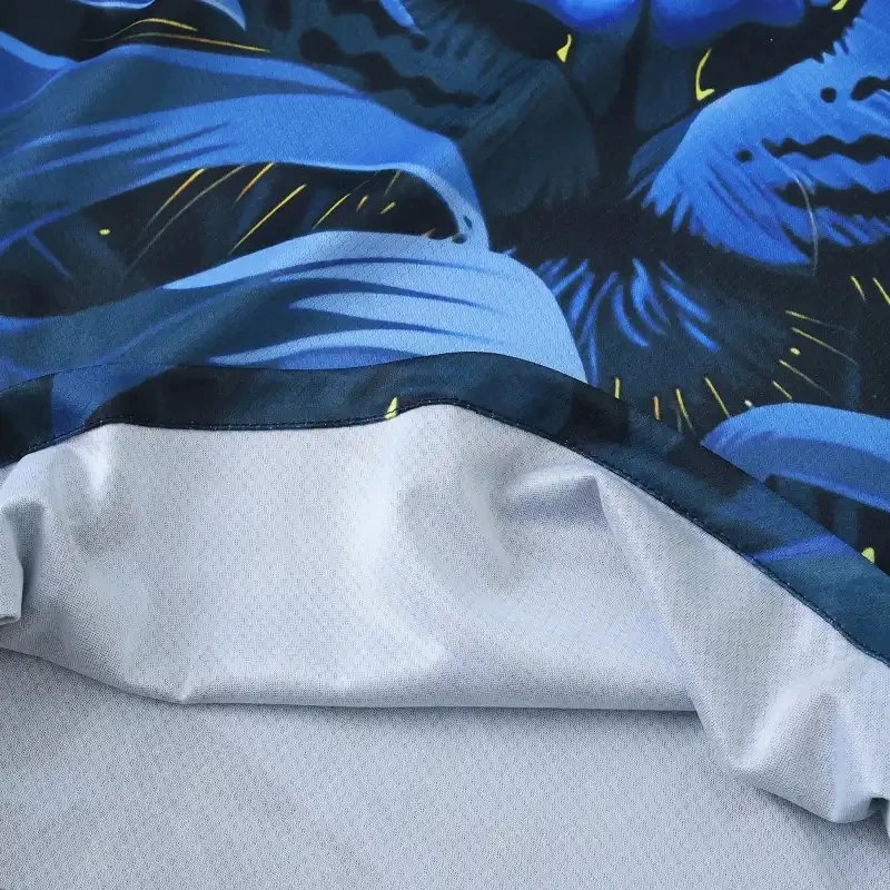 BRAZIL 25-26 photo 23