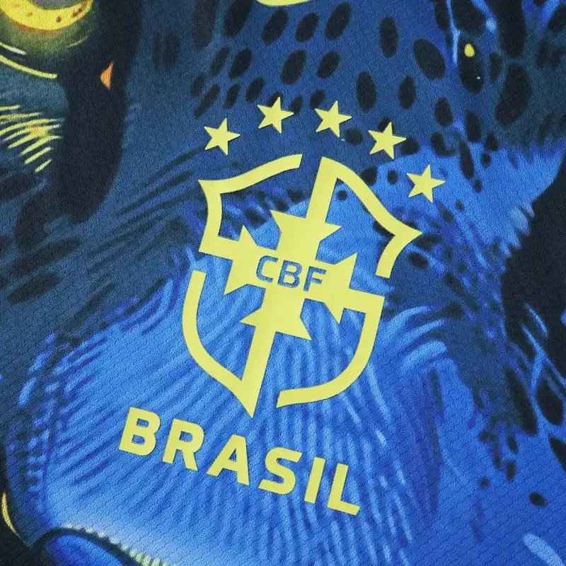 BRAZIL 25-26 photo 27