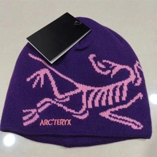 Arcteryx Thick Beanie